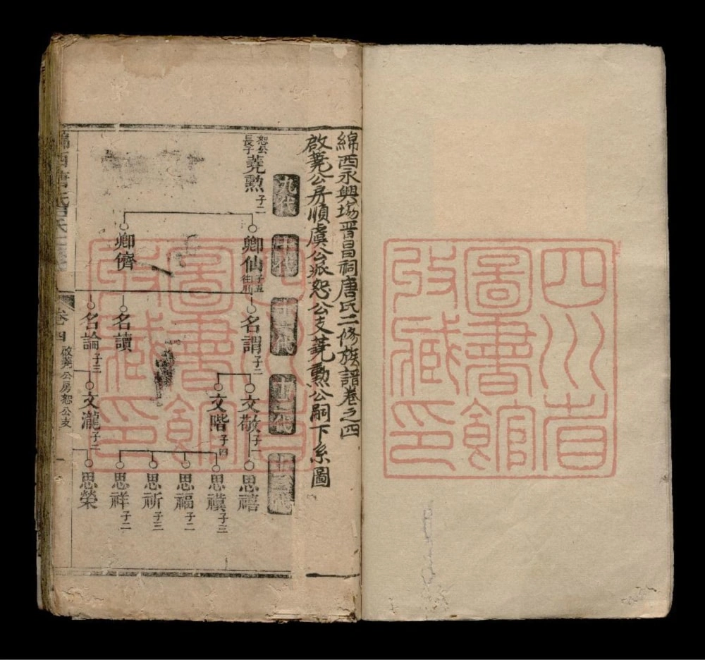 图片[2]-四川绵阳绵西永兴场晋昌祠唐氏族谱（晋昌堂）电子版PDF下载-中华家谱网