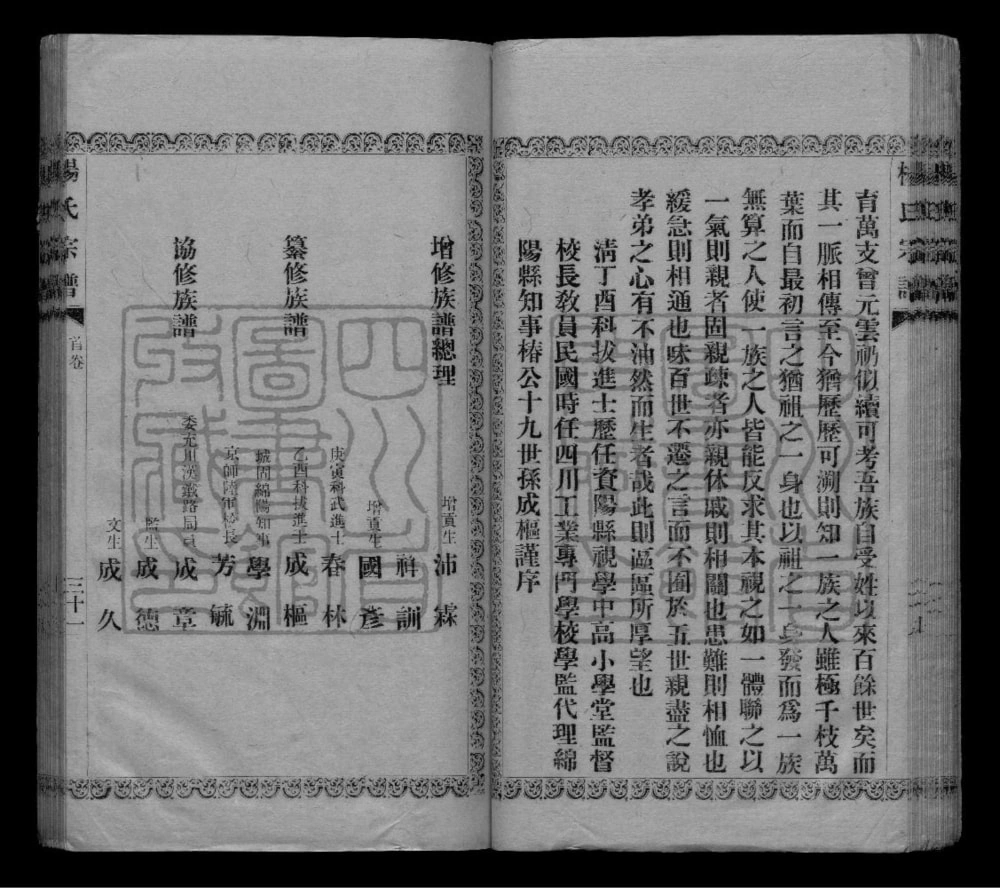 图片[3]-四川资阳资中杨氏祠支谱电子版PDF下载-中华家谱网