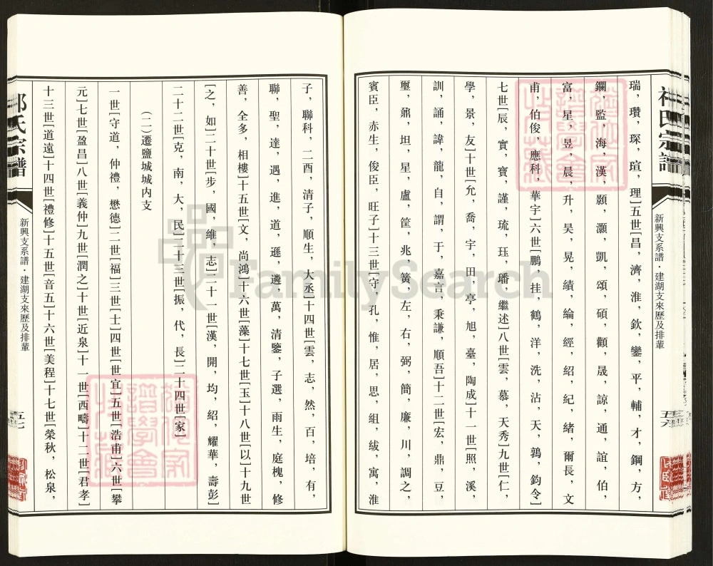 图片[8]-江苏盐城祁氏宗谱新兴支系谱（举贤堂）电子版PDF下载-中华家谱网