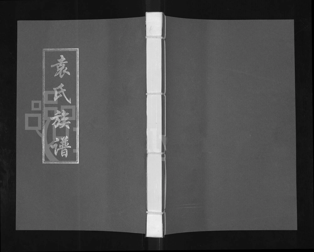 图片[1]-河南开封兰考袁氏族谱电子版PDF下载-中华家谱网