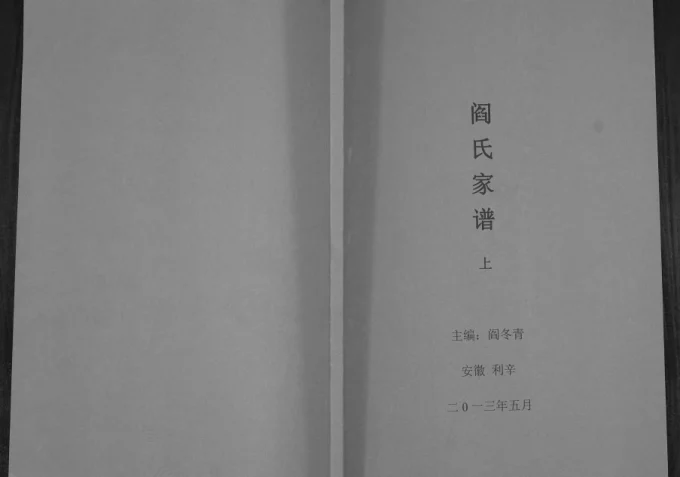 安徽亳州利辛县阎氏家谱-中华家谱网
