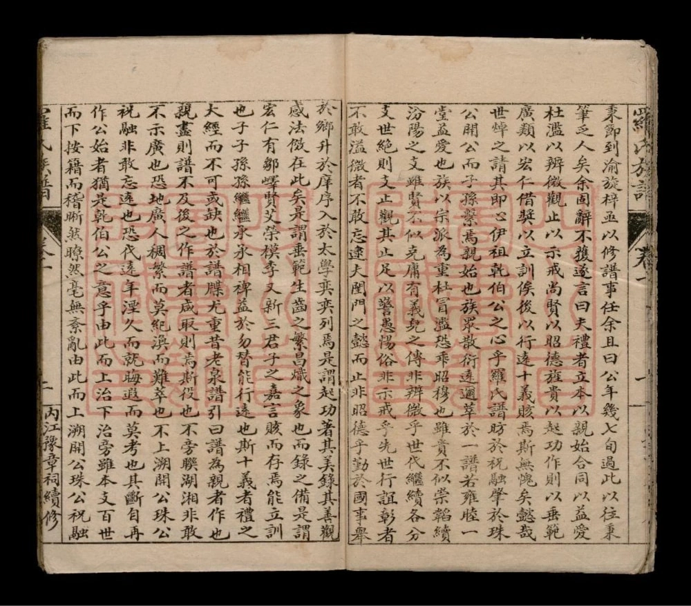 图片[2]-四川内江罗氏族谱电子版PDF下载-中华家谱网