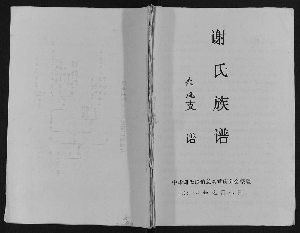 图片[1]-重庆开县谢氏族谱电子版PDF下载-中华家谱网