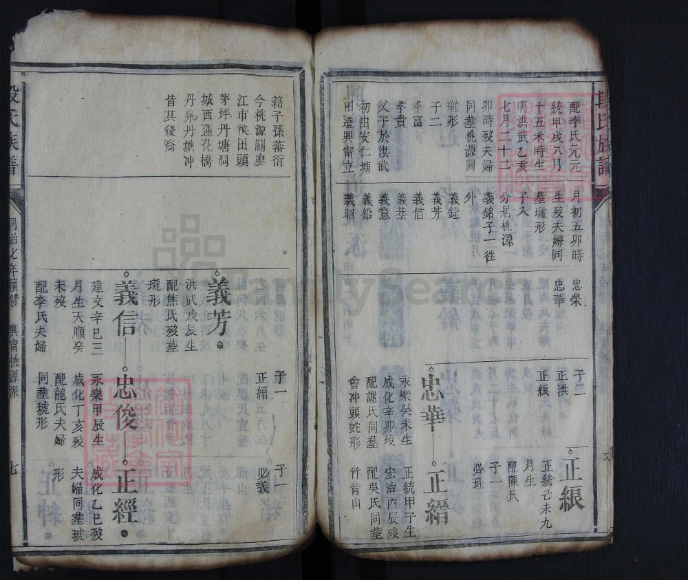 图片[6]-湖南资兴段氏族谱电子版PDF下载-中华家谱网