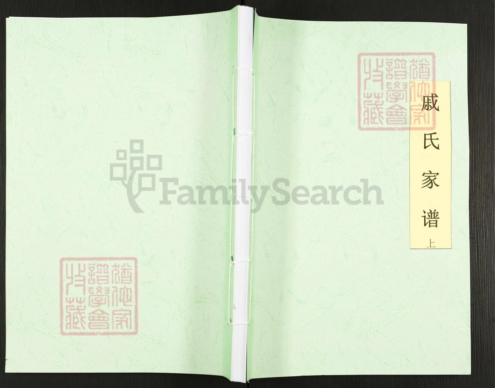 图片[1]-重庆忠县戚氏家谱电子版PDF下载-中华家谱网