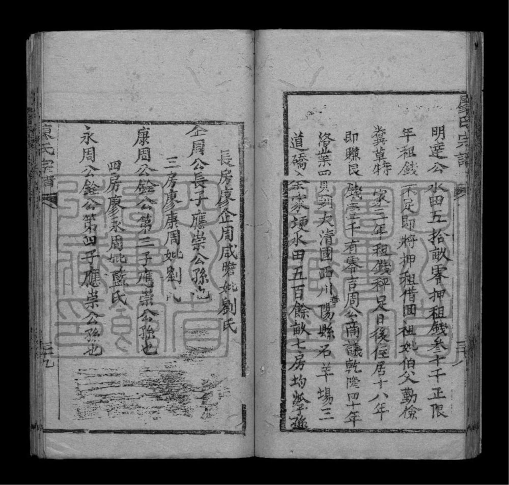 图片[7]-四川成都双流华阳石板滩廖氏族谱电子版PDF下载-中华家谱网