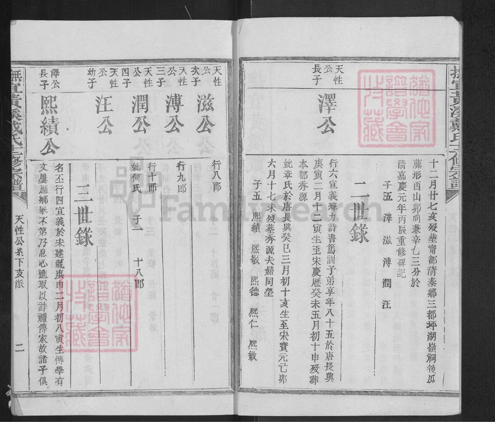 图片[5]-江西宜黄抚宜黄溪戴氏十二修宗谱电子版PDF下载-中华家谱网