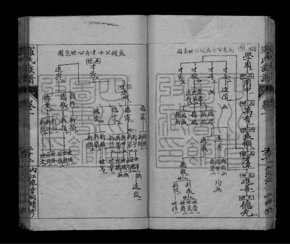 图片[6]-四川内江罗氏族谱电子版PDF下载-中华家谱网