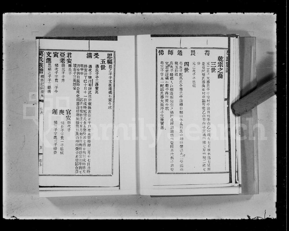 图片[8]-广东江门新会南门莫氏族谱电子版PDF下载-中华家谱网