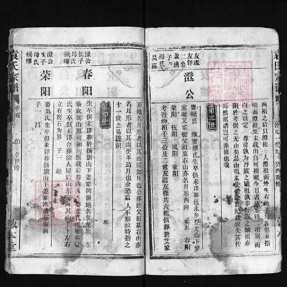 图片[8]-湖北大冶赤湖袁氏宗谱（敦本堂）电子版PDF下载-中华家谱网