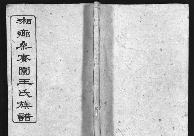 湖南湘乡桑枣园王氏族谱（太原堂）-中华家谱网