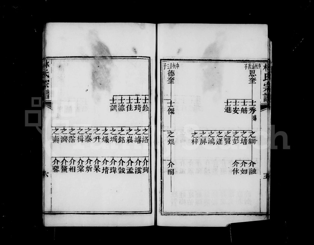 图片[8]-安徽蚌埠怀远林氏宗谱电子版PDF下载-中华家谱网