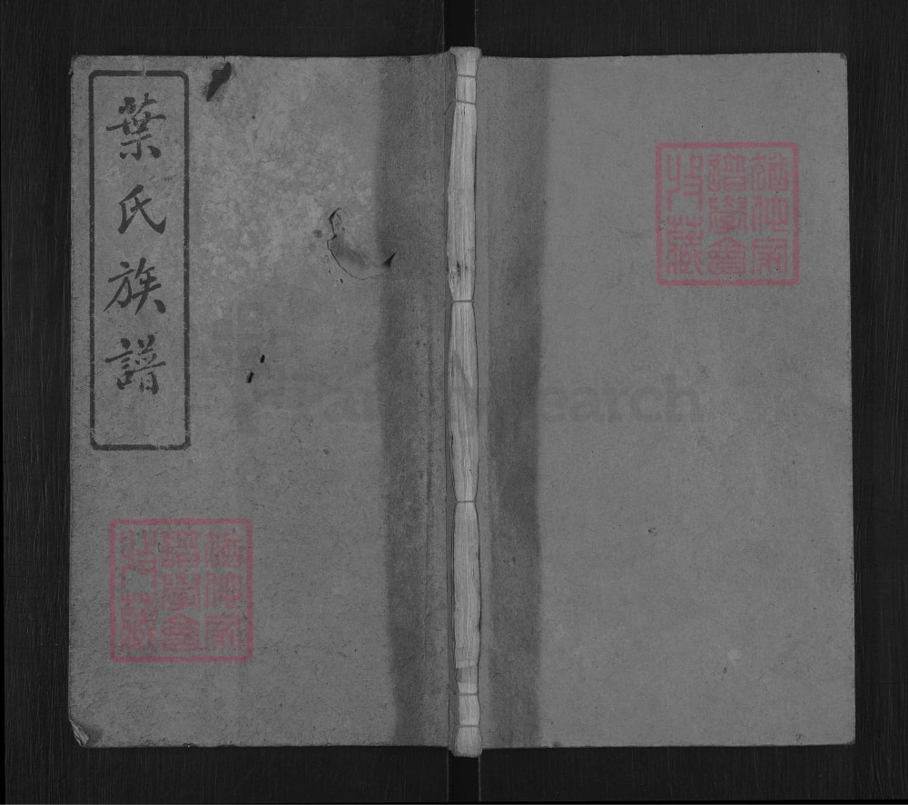 图片[1]-湖南岳阳平江县叶氏五修族谱（南阳堂）电子版PDF下载-中华家谱网