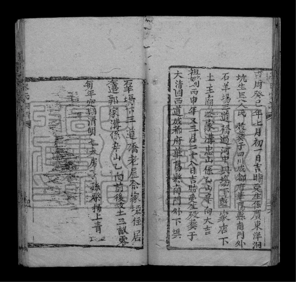 图片[8]-四川成都双流华阳石板滩廖氏族谱电子版PDF下载-中华家谱网