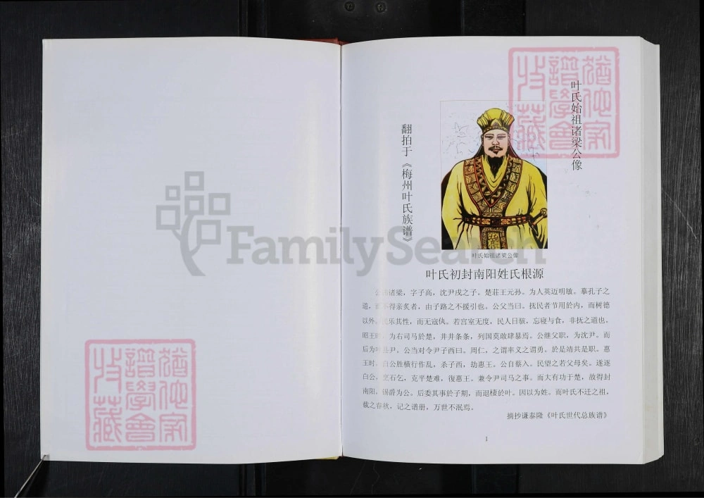 图片[2]-广东广州从化区叶氏源流录天祐祖世系族谱电子版PDF下载-中华家谱网