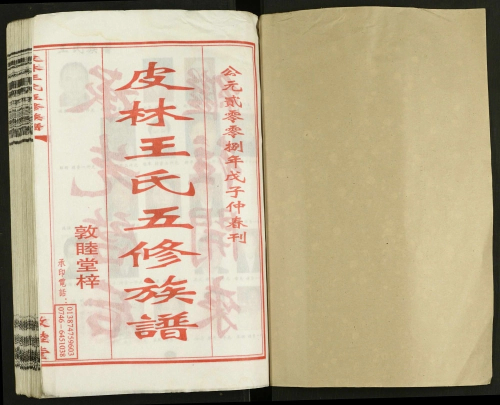 图片[2]-湖南邵东邵陵皮林王氏五修族谱（敦睦堂）电子版PDF下载-中华家谱网