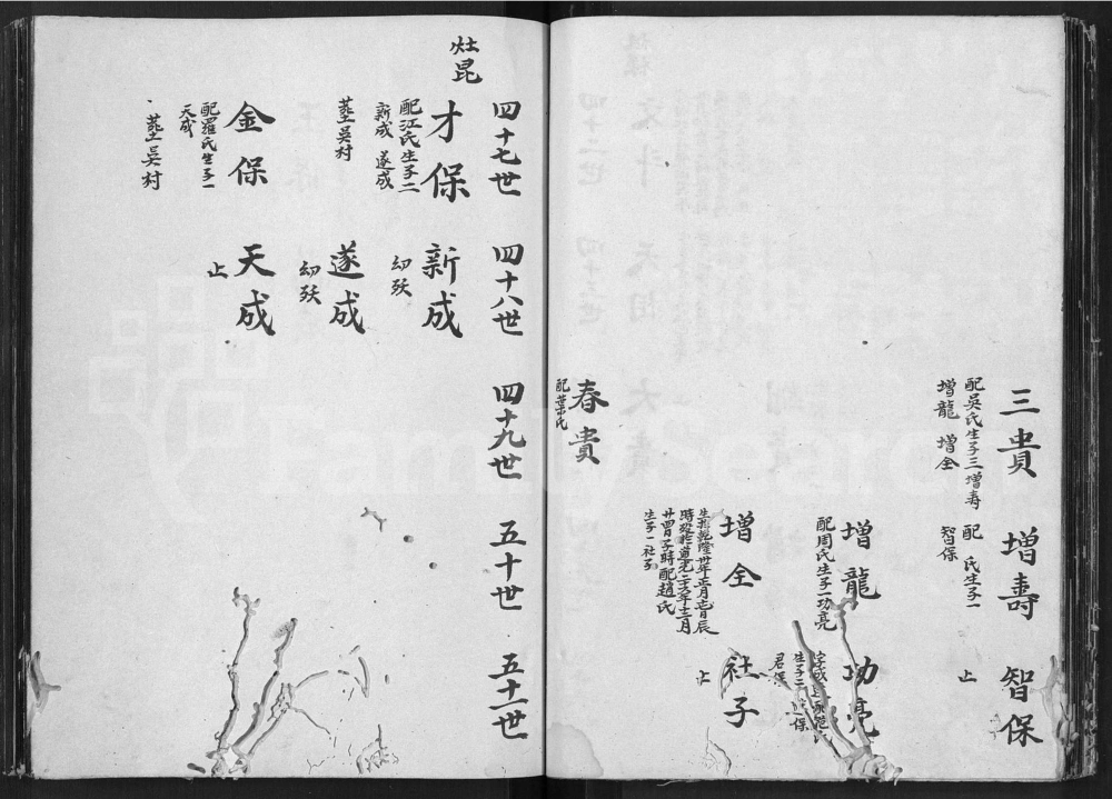 图片[8]-安徽黄山歙县谢氏宗谱电子版PDF下载-中华家谱网