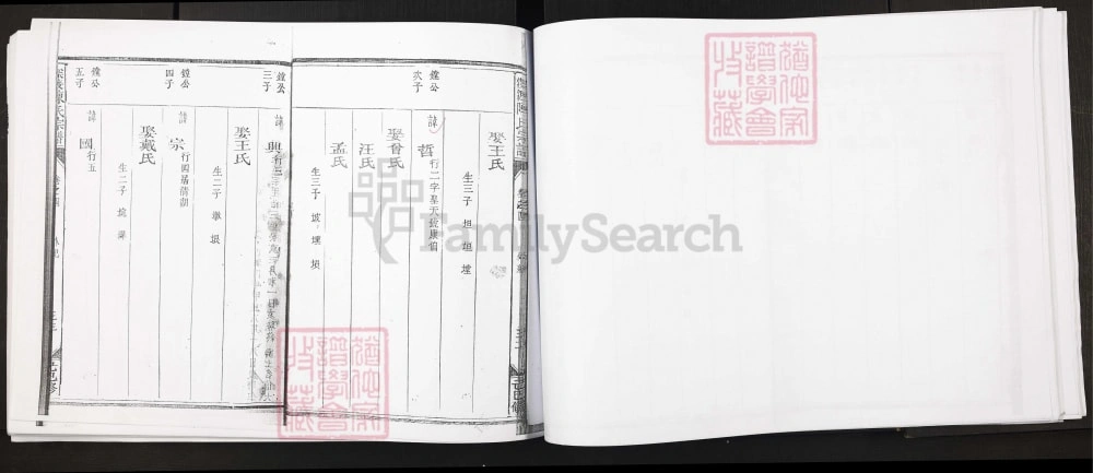 图片[6]-浙江江山市深渡陈氏宗谱电子版PDF下载-中华家谱网