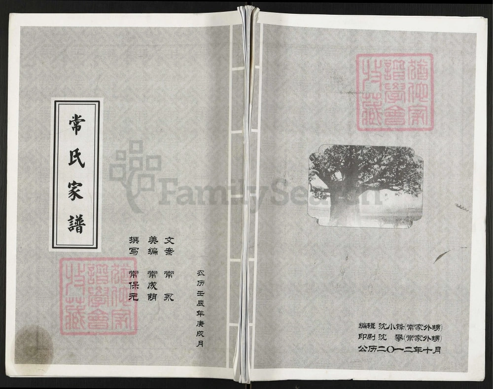 图片[1]-河北邯郸成安县常氏家谱电子版PDF下载-中华家谱网