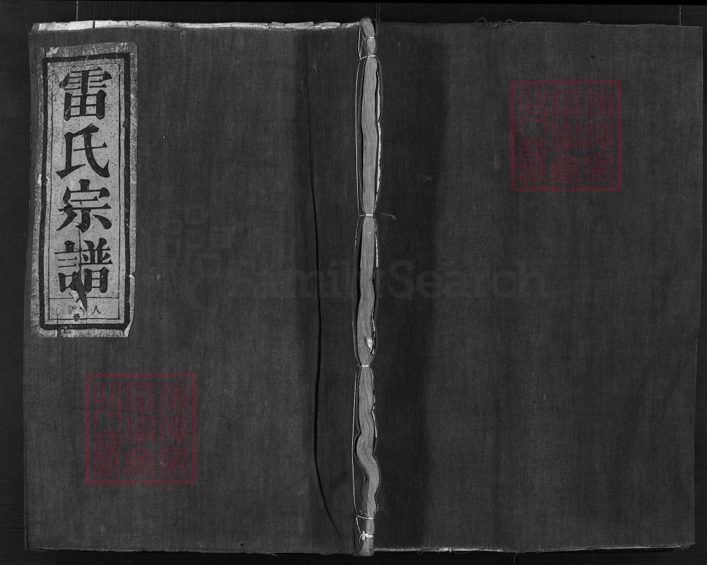 图片[1]-浙江兰溪雷氏宗谱（盛德堂）电子版PDF下载-中华家谱网