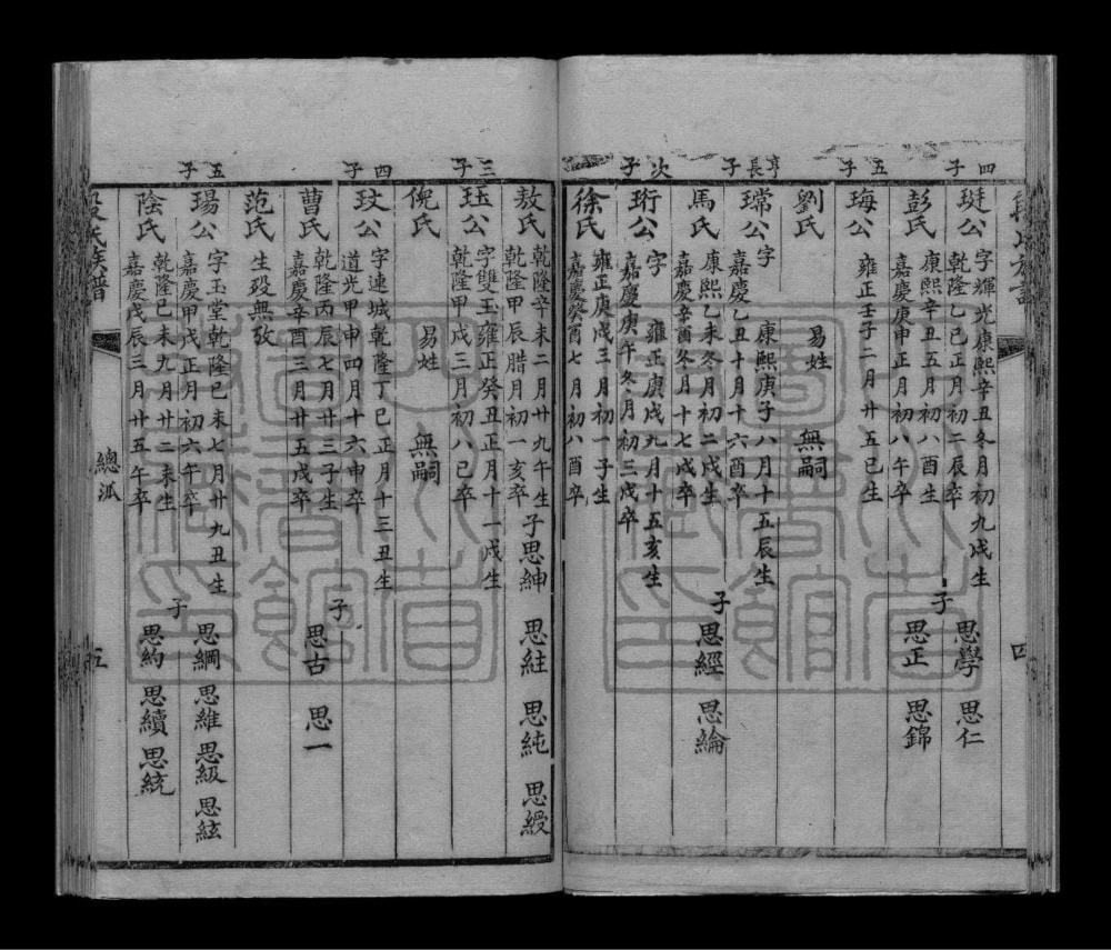 图片[8]-四川内江段氏族谱电子版PDF下载-中华家谱网