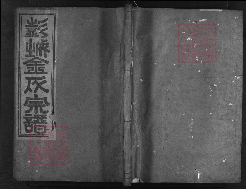 图片[1]-浙江兰溪彭城金氏宗谱（报本祠）电子版PDF下载-中华家谱网