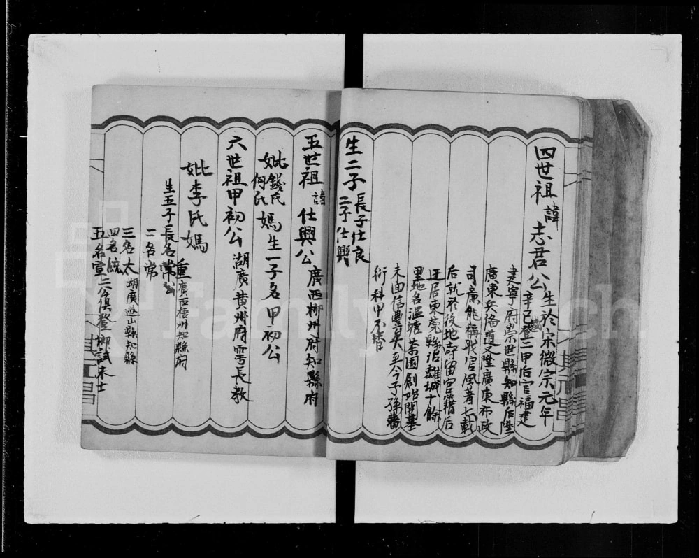 图片[4]-广东河源袁氏族谱电子版PDF下载-中华家谱网