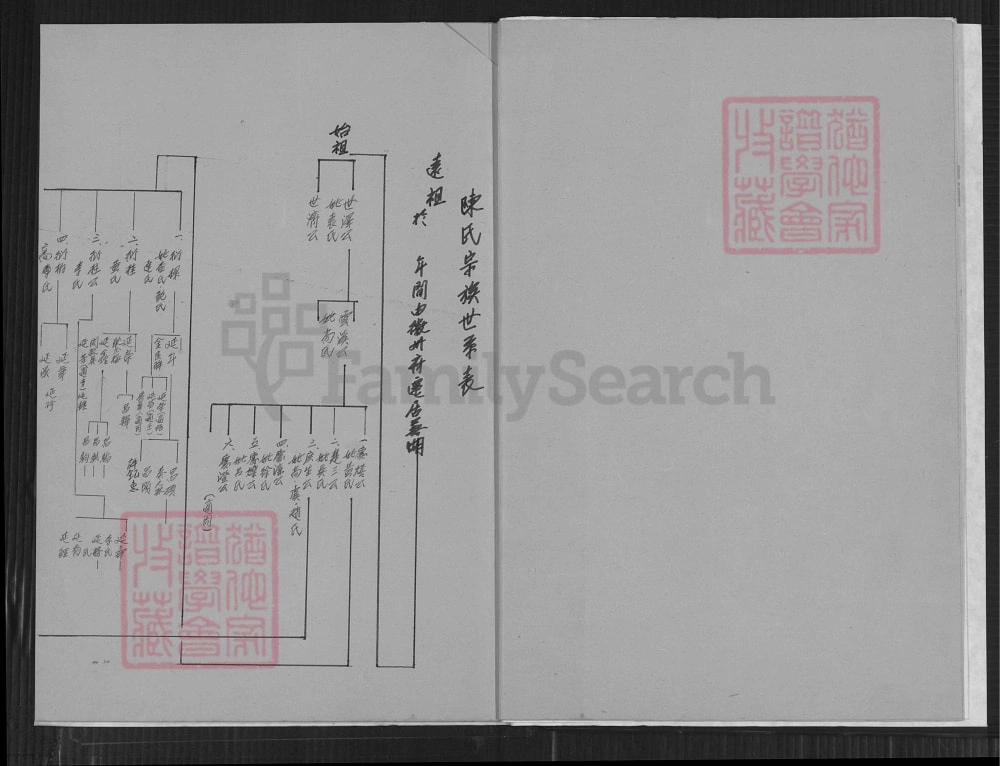 图片[3]-安徽芜湖陈务滋堂家谱世系表电子版PDF下载-中华家谱网
