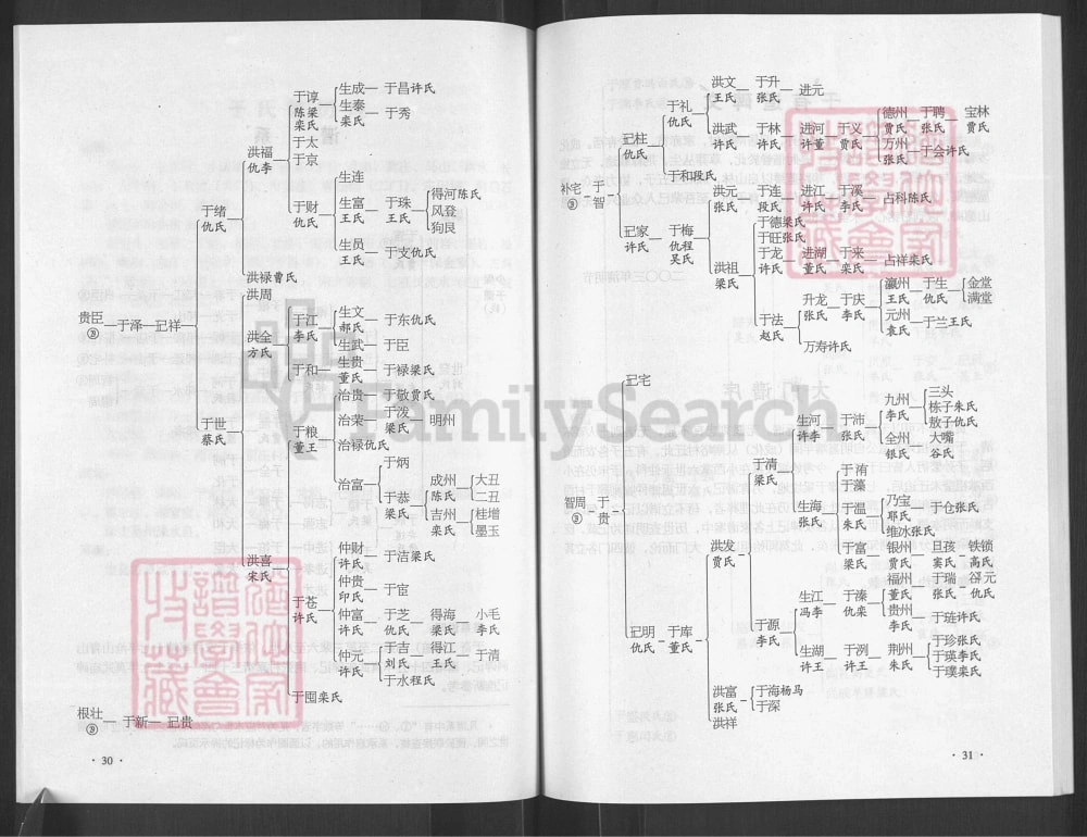 图片[8]-河北石家庄井陉县于氏宗谱电子版PDF下载-中华家谱网