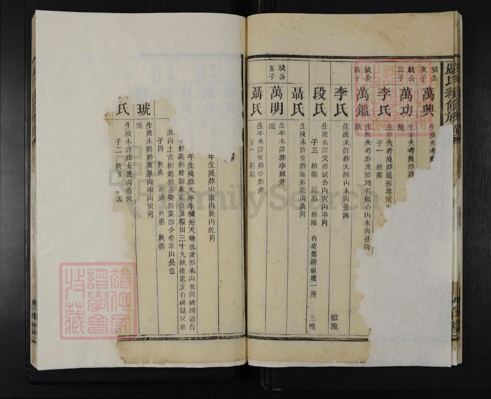 图片[7]-湖南安化严氏续修族谱（春山堂）电子版PDF下载-中华家谱网