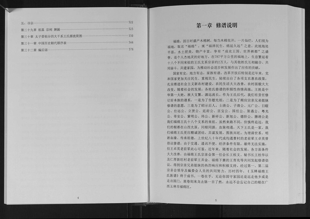 图片[2]-广西玉林福绵王氏族谱电子版PDF下载-中华家谱网