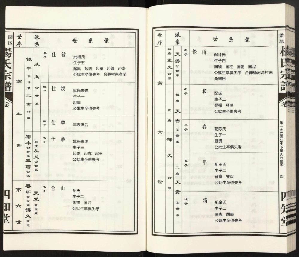 图片[8]-安徽合肥肥东县梁园地区享堂杨氏宗谱（四知堂）电子版PDF下载-中华家谱网