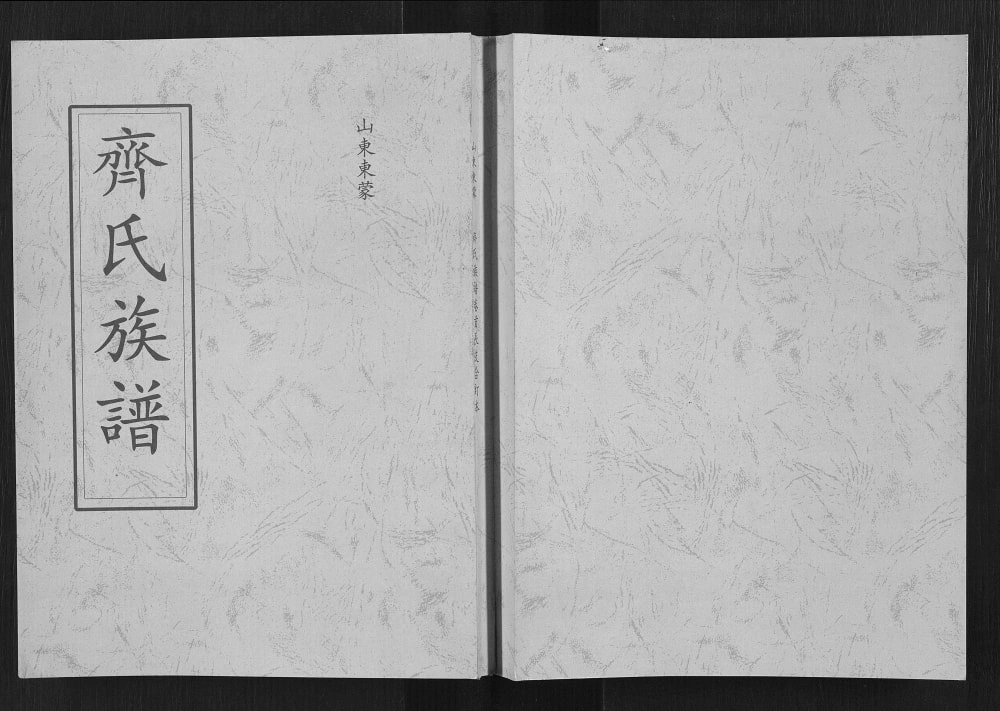 图片[1]-山东临沂蒙阴县齐氏族谱电子版PDF下载-中华家谱网