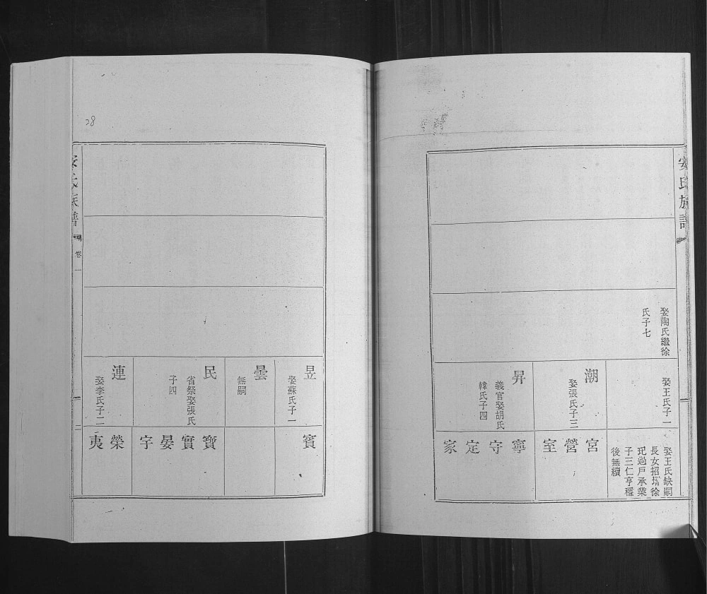 图片[3]-山东日照安氏族谱电子版PDF下载-中华家谱网