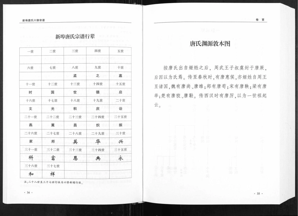 图片[4]-安徽铜陵枞阳唐氏宗谱电子版PDF下载-中华家谱网