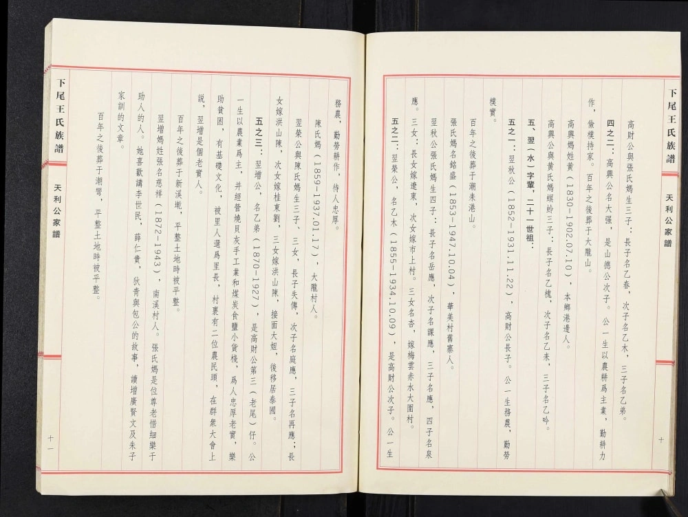 图片[4]-广东揭阳下尾王氏族谱天利公家谱电子版PDF下载-中华家谱网