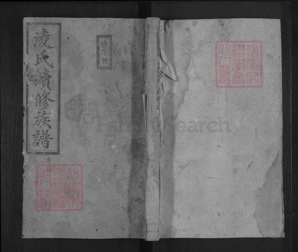 图片[1]-湖南郴州凌氏续修族谱（流芳堂）电子版PDF下载-中华家谱网