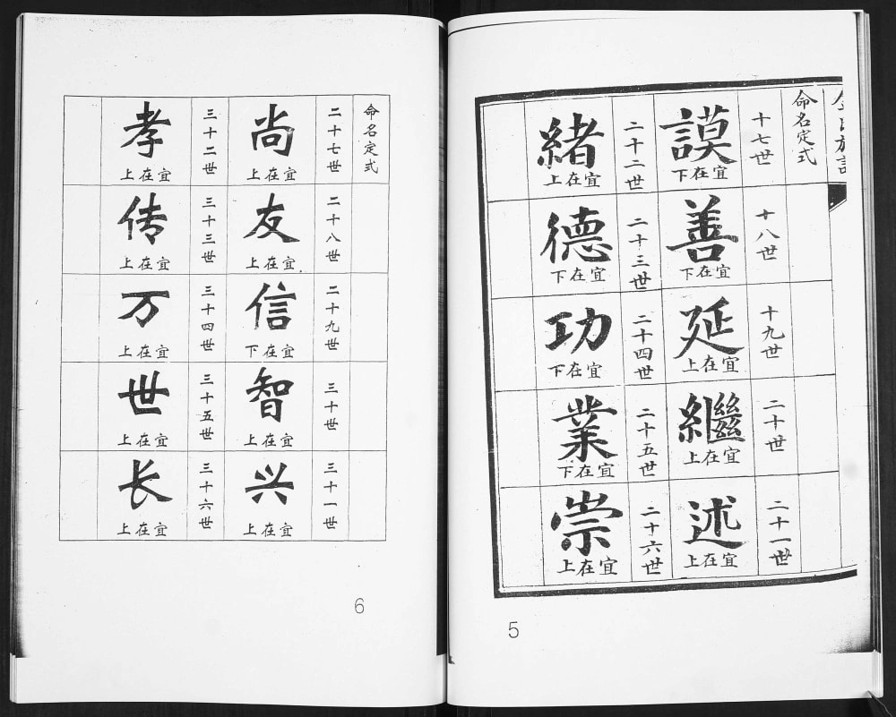 图片[3]-山东青岛即墨区金氏族谱（务本堂）电子版PDF下载-中华家谱网