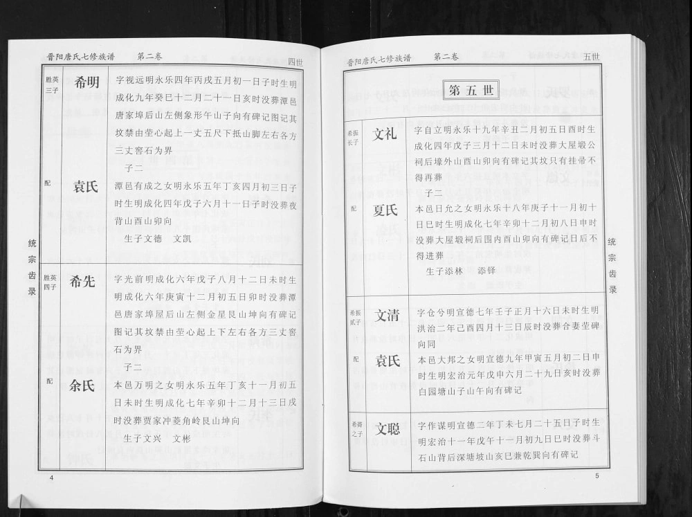 图片[8]-湖南株洲晋阳唐氏族谱电子版PDF下载-中华家谱网