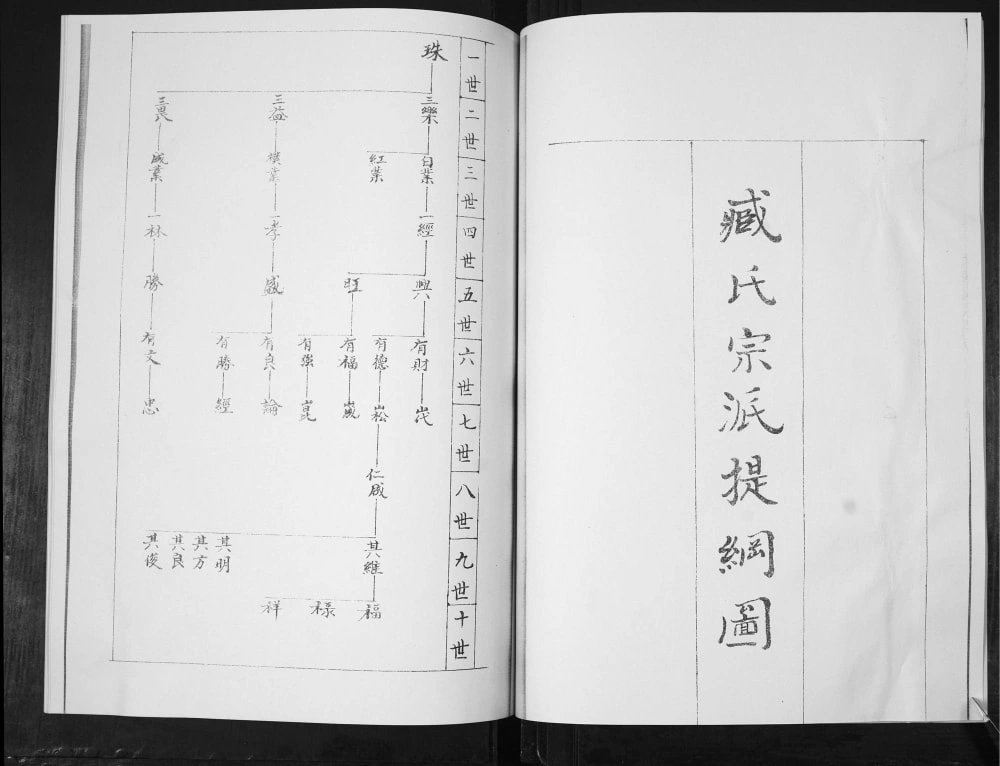 图片[6]-山东青岛即墨臧氏族谱电子版PDF下载-中华家谱网