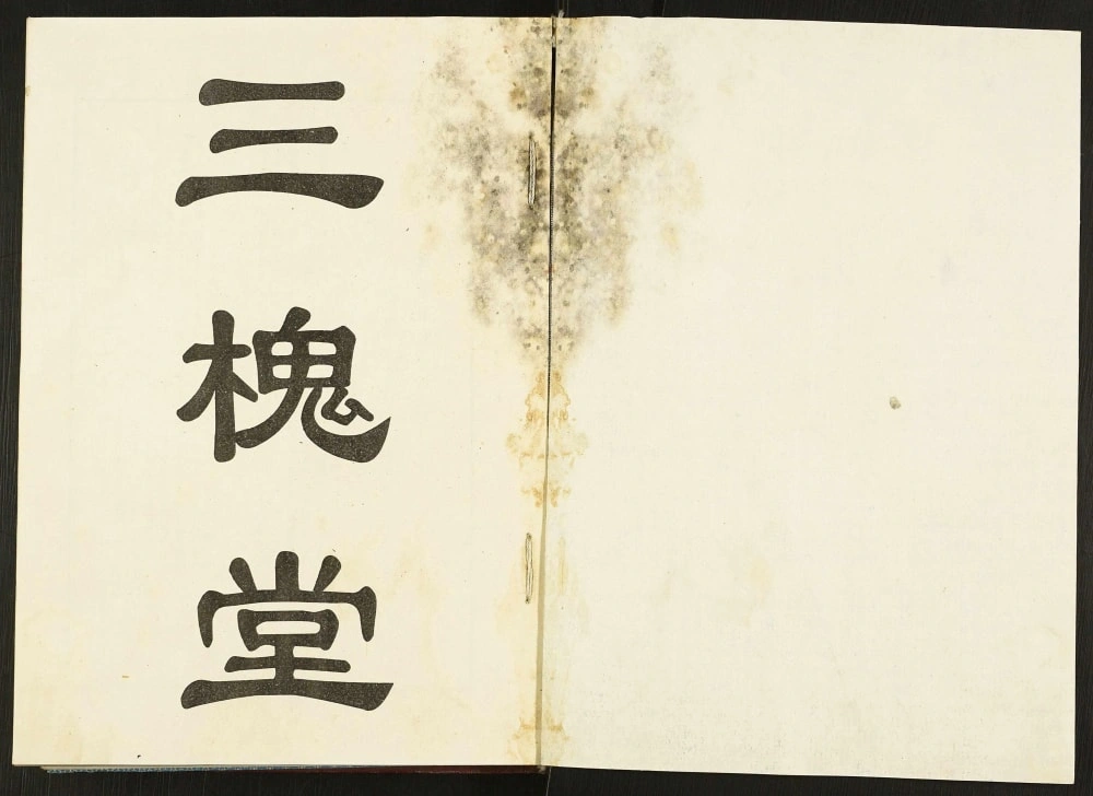 图片[2]-江苏徐州沛县古沛王氏族谱（三槐堂）电子版PDF下载-中华家谱网