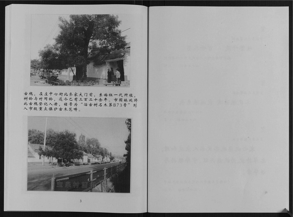 图片[3]-山东淄博淄川区齐氏族谱电子版PDF下载-中华家谱网