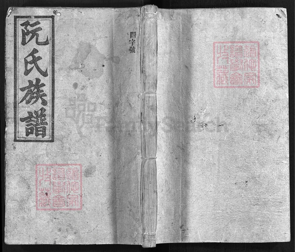 图片[1]-湖南邵阳阮氏三修族谱（陈留堂）电子版PDF下载-中华家谱网