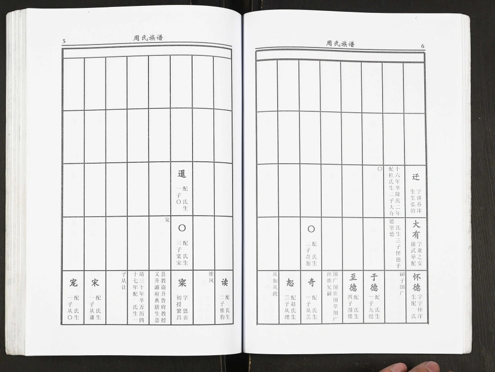 图片[6]-江苏宿迁沭阳县周氏族谱（爱莲堂）电子版PDF下载-中华家谱网