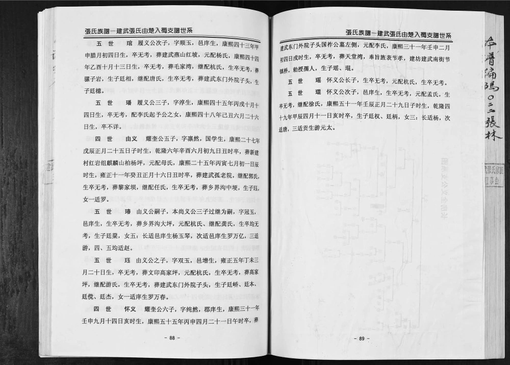 图片[7]-四川宜宾兴文县建武张氏族谱电子版PDF下载-中华家谱网