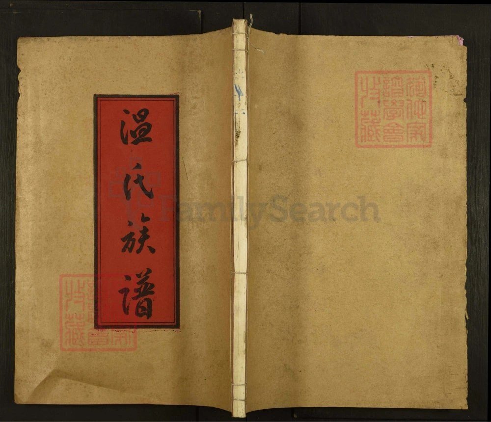 图片[1]-江西赣州温氏族谱电子版PDF下载-中华家谱网