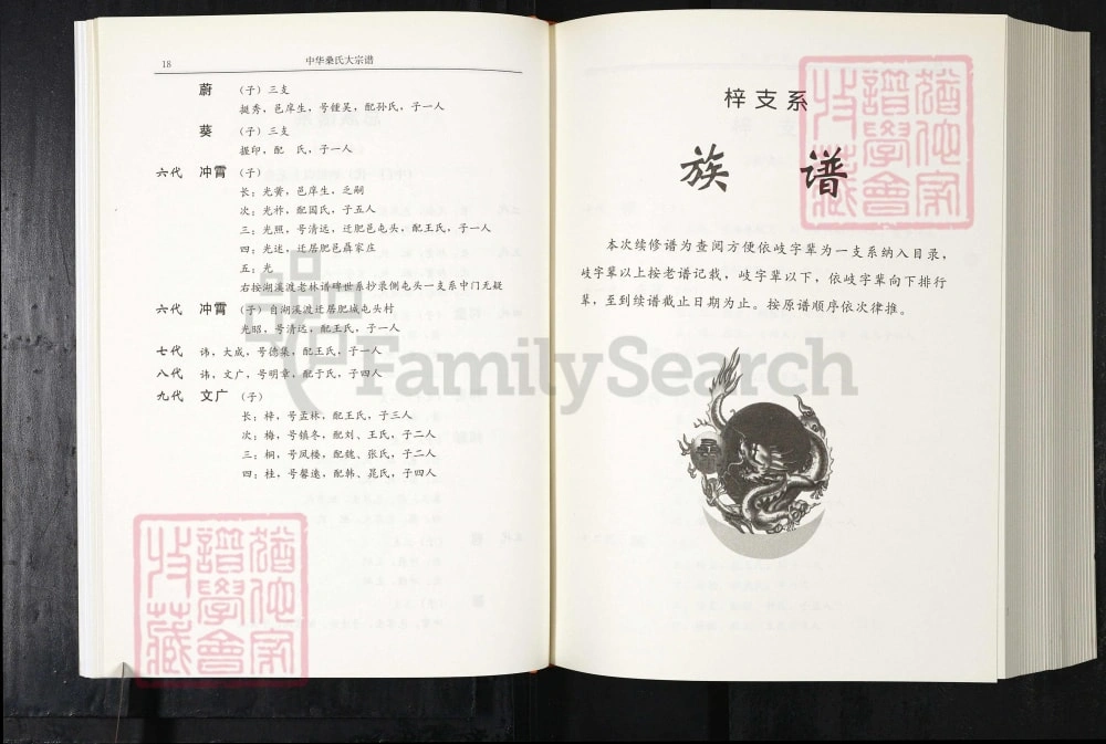 图片[6]-中华桑氏宗谱山东肥城支谱电子版PDF下载-中华家谱网