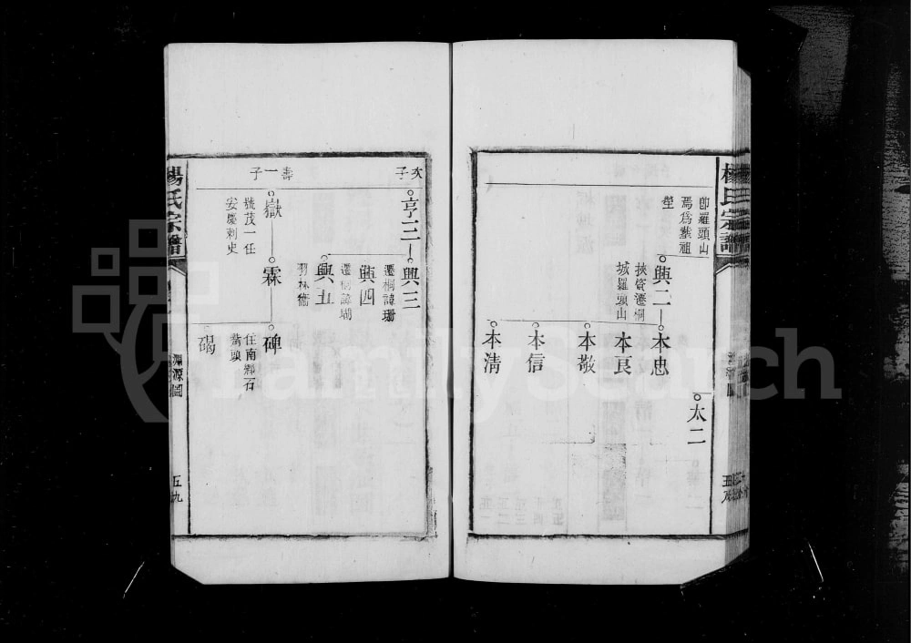 图片[5]-安徽桐城皖桐杨氏宗谱电子版PDF下载-中华家谱网