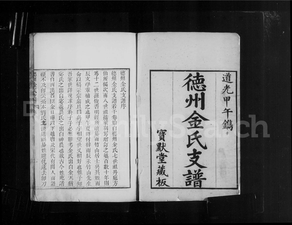 图片[1]-山东德州金氏支谱（宝默堂）电子版PDF下载-中华家谱网