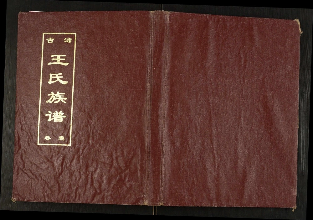 图片[1]-江苏徐州沛县古沛王氏族谱（三槐堂）电子版PDF下载-中华家谱网